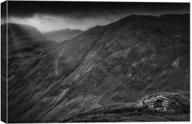 SHELTER IN MATTERDALE - THE  LAKE DISTRICT (BLACK & WHITE) Canvas Print by Tony Sharp LRPS CPAGB