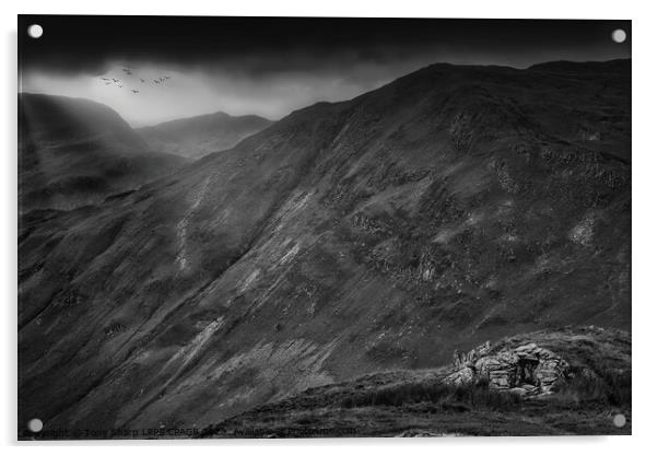 SHELTER IN MATTERDALE - THE  LAKE DISTRICT (BLACK & WHITE) Acrylic by Tony Sharp LRPS CPAGB
