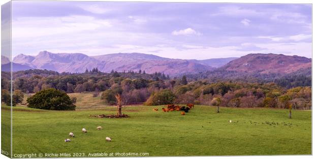 View from Wray Castle, Cumbria Canvas Print by Richie Miles