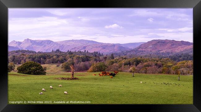 View from Wray Castle, Cumbria Framed Print by Richie Miles
