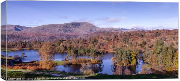 Tarn Howes Cumbria Canvas Print by Richie Miles