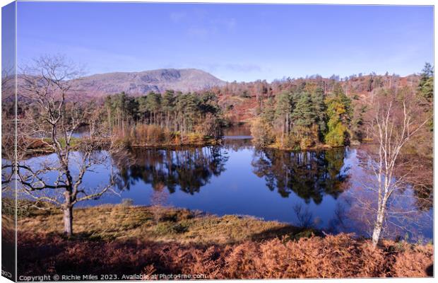 View of Tarn Howes with reflection in water Canvas Print by Richie Miles