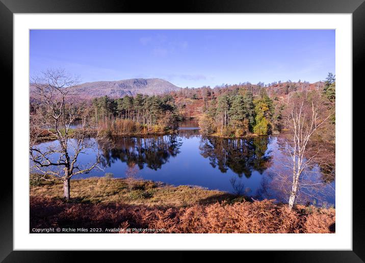 View of Tarn Howes with reflection in water Framed Mounted Print by Richie Miles