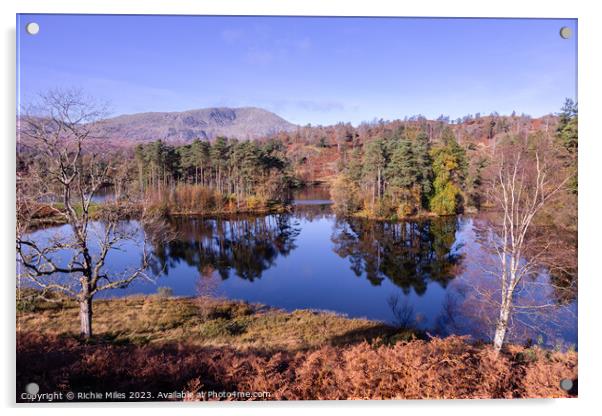 View of Tarn Howes with reflection in water Acrylic by Richie Miles