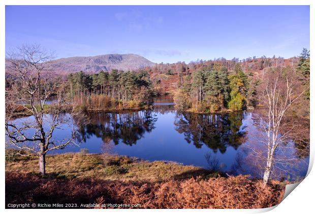 View of Tarn Howes with reflection in water Print by Richie Miles