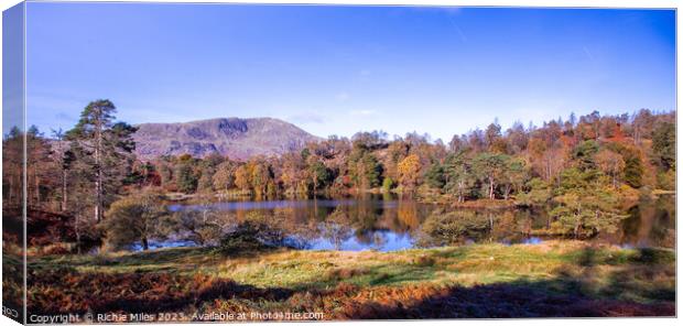 View of Tarn Howes Lake District Canvas Print by Richie Miles