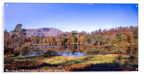 View of Tarn Howes Lake District Acrylic by Richie Miles