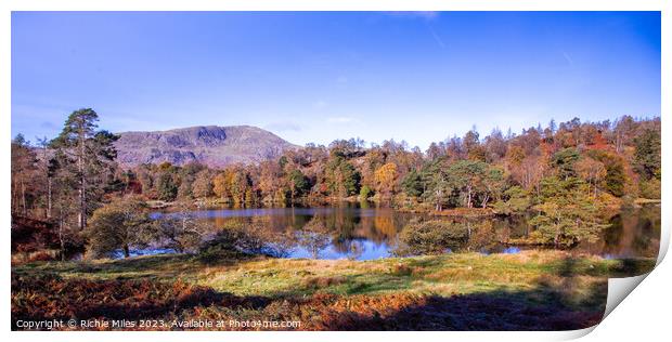 View of Tarn Howes Lake District Print by Richie Miles