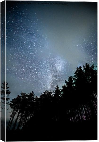 Newborough Forest stars Canvas Print by Andy Evans