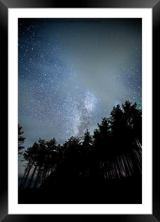 Newborough Forest stars Framed Mounted Print by Andy Evans