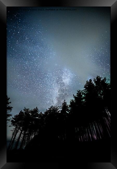 Newborough Forest stars Framed Print by Andy Evans
