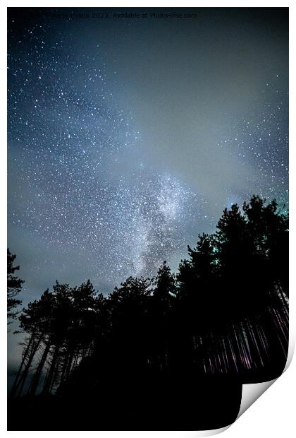 Newborough Forest stars Print by Andy Evans