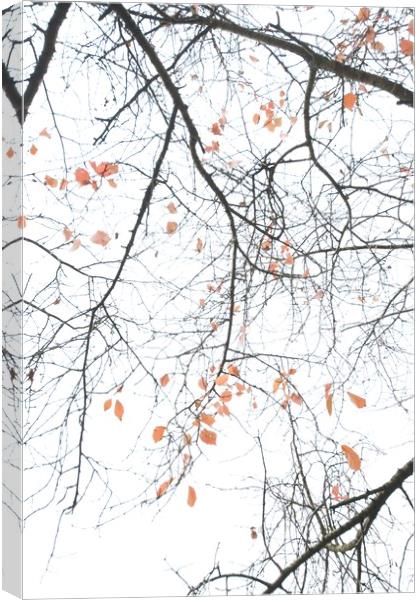 Autumn Leaves Canvas Print by James Allen