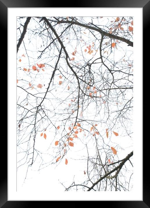 Autumn Leaves Framed Mounted Print by James Allen