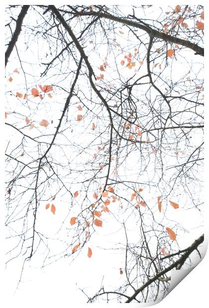 Autumn Leaves Print by James Allen