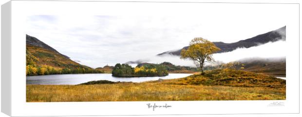 The glen in  autumn Canvas Print by JC studios LRPS ARPS