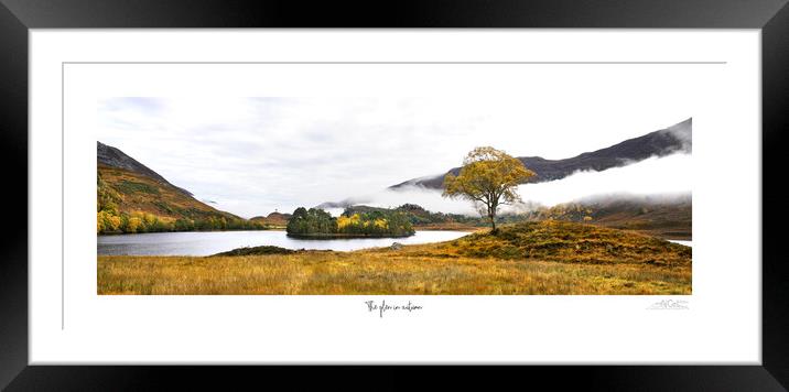 The glen in  autumn Framed Mounted Print by JC studios LRPS ARPS