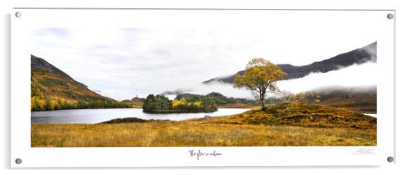 The glen in  autumn Acrylic by JC studios LRPS ARPS