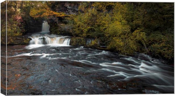 The Lower Ddwli Waterfall Canvas Print by Leighton Collins