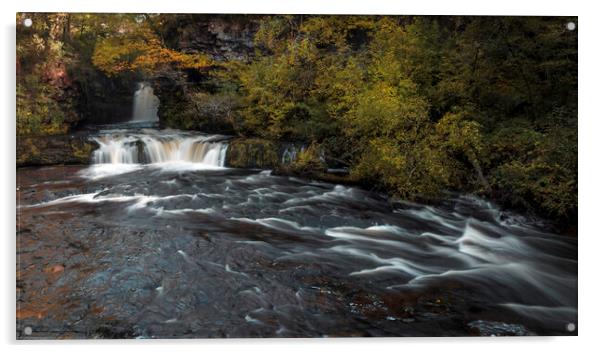 The Lower Ddwli Waterfall Acrylic by Leighton Collins