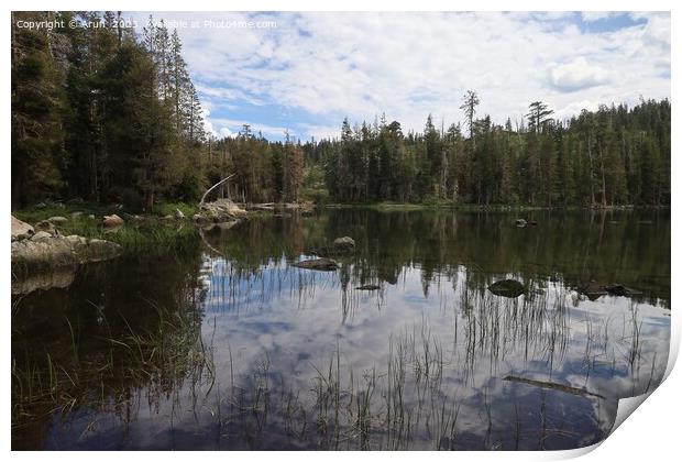 Big Bear Lake at Eureka Plumas Forest, California Print by Arun 