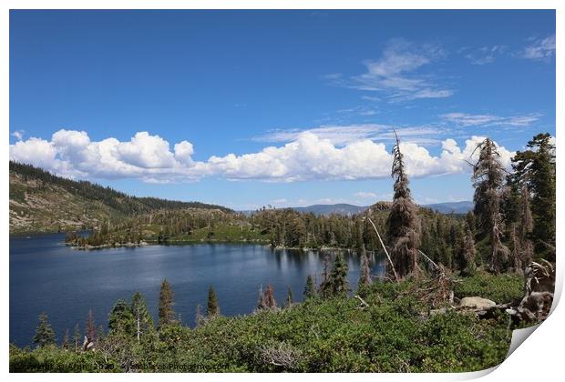 Silver lake at Eureka Plumas Forest, Lake Basin, California Print by Arun 