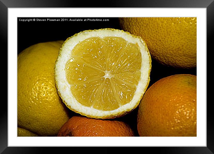 Citrus fruit Framed Mounted Print by Steven Plowman