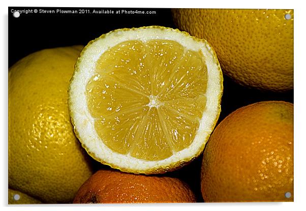 Citrus fruit Acrylic by Steven Plowman