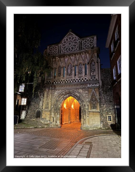 Ethelbert Gate at Norwich Cathedral Framed Mounted Print by Sally Lloyd