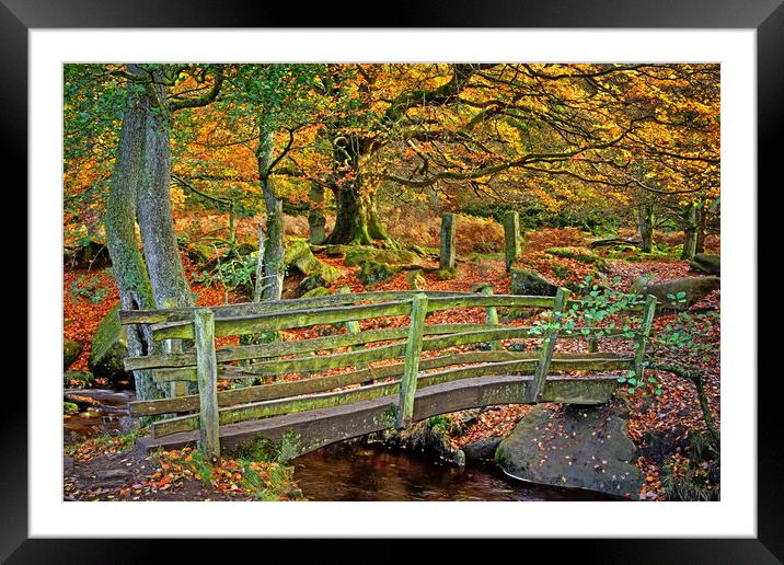 Padley Gorge Footbridge Framed Mounted Print by Darren Galpin