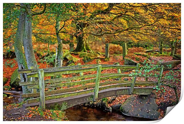 Padley Gorge Footbridge Print by Darren Galpin