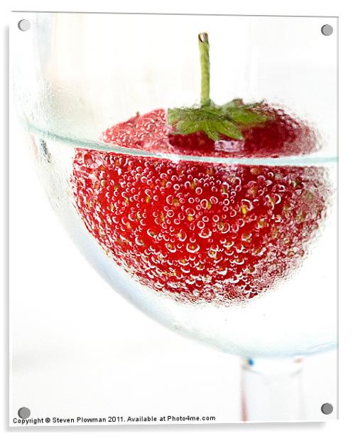 Strawberry fizz Acrylic by Steven Plowman