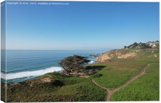 Cliffs and Ocean Mussell rock park in Pacifica California Canvas Print by Arun 