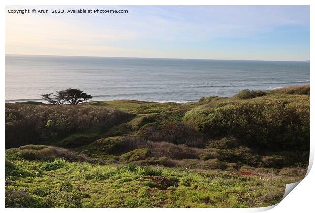 Coastal view along highway 1 in Pacifica california Print by Arun 