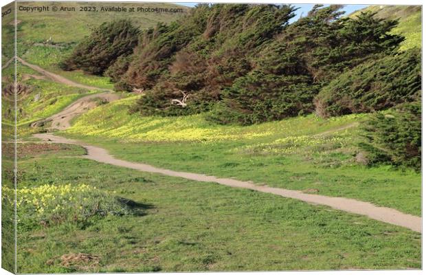 Coastal view along highway 1 in Pacifica california Canvas Print by Arun 