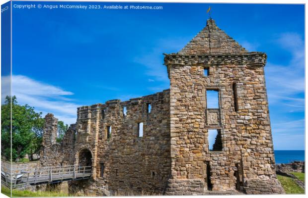 Entrance to St Andrews Castle, Fife, Scotland Canvas Print by Angus McComiskey