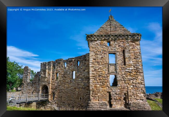 Entrance to St Andrews Castle, Fife, Scotland Framed Print by Angus McComiskey
