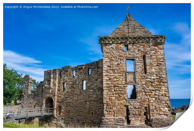 Entrance to St Andrews Castle, Fife, Scotland Print by Angus McComiskey