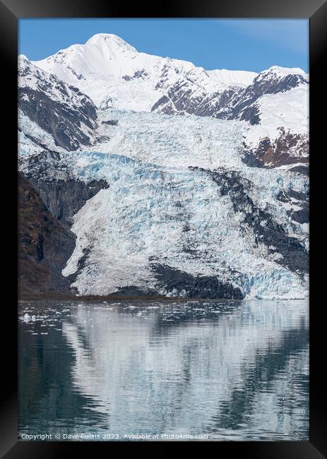 Tidewater Glacier reflected in the calm waters of College Fjord, Alaska, USA Framed Print by Dave Collins
