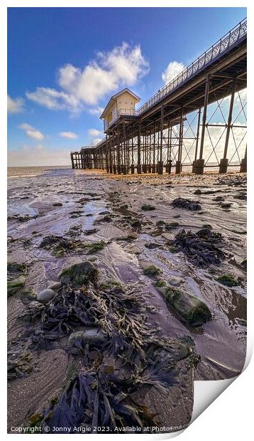 Beneath Penarth Pier  Print by Jonny Angle