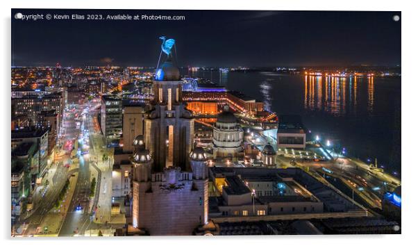 Liverbird Acrylic by Kevin Elias