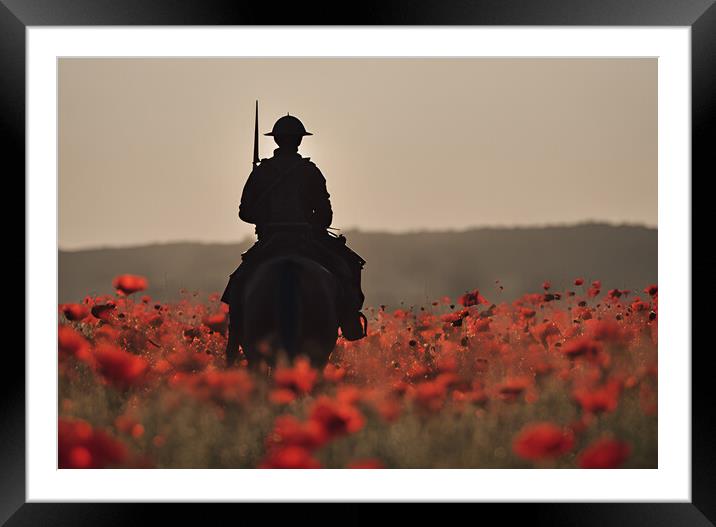 Mounted Cavalry Poppy Framed Mounted Print by Picture Wizard
