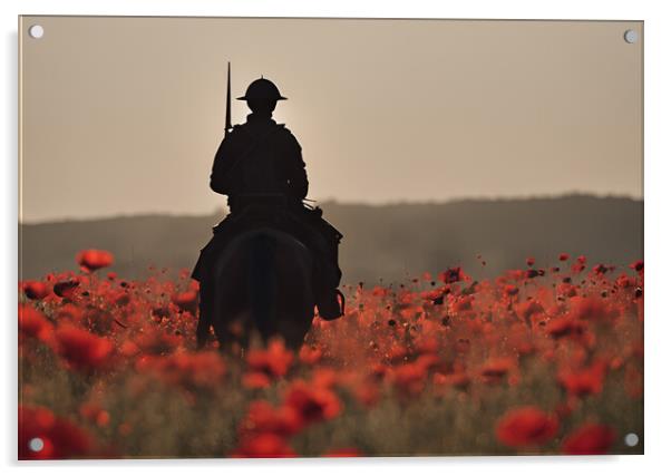 Mounted Cavalry Poppy Acrylic by Picture Wizard