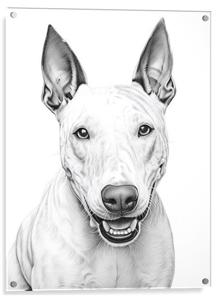 Bull Terrier Pencil Drawing Acrylic by K9 Art