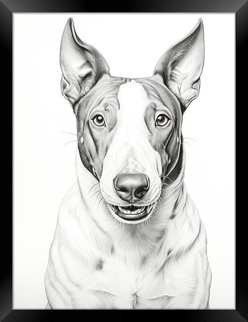 Bull Terrier Pencil Drawing Framed Print by K9 Art