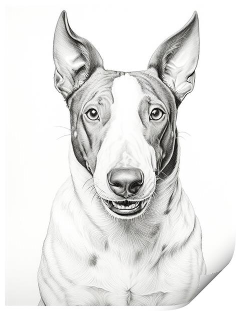 Bull Terrier Pencil Drawing Print by K9 Art