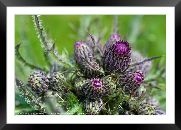 Purple Thistle Framed Mounted Print by Kasia Design