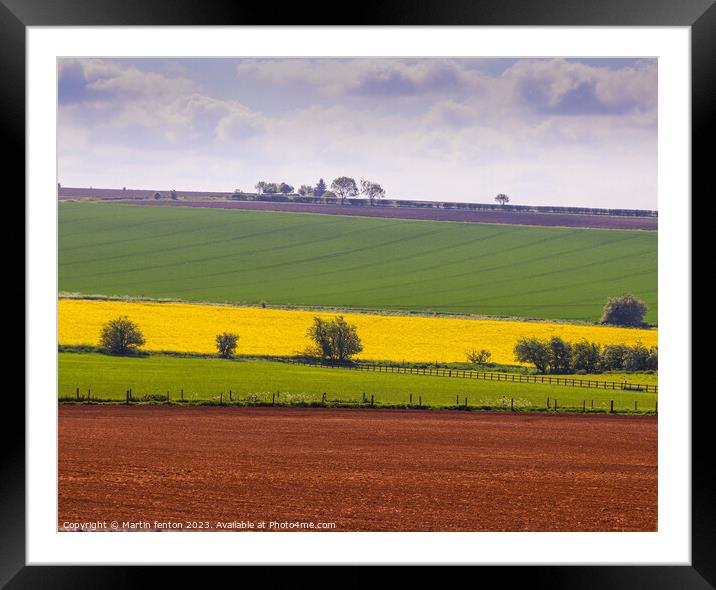 Fields of colour Framed Mounted Print by Martin fenton