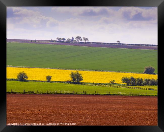Fields of colour Framed Print by Martin fenton