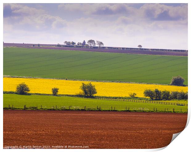 Fields of colour Print by Martin fenton